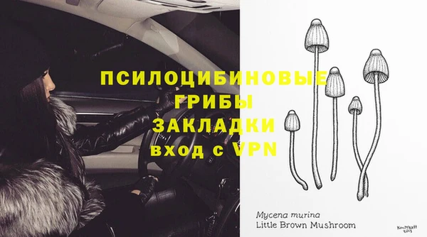 ALPHA-PVP Бородино