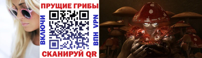 цена   Чита  Псилоцибиновые грибы GOLDEN TEACHER 